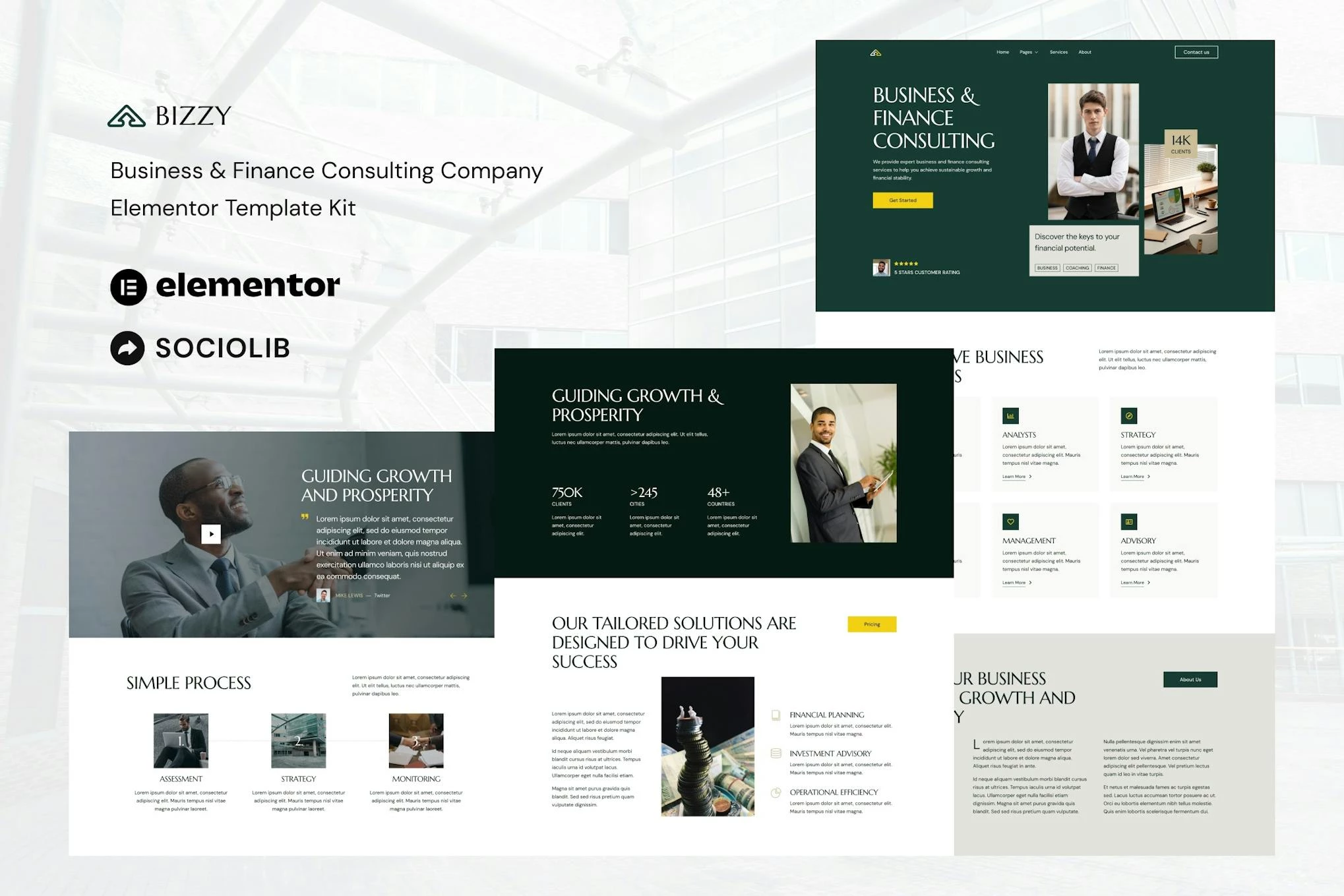 Bizzy - Kit de plantillas Elementor para una empresa de consultoría empresarial y financiera