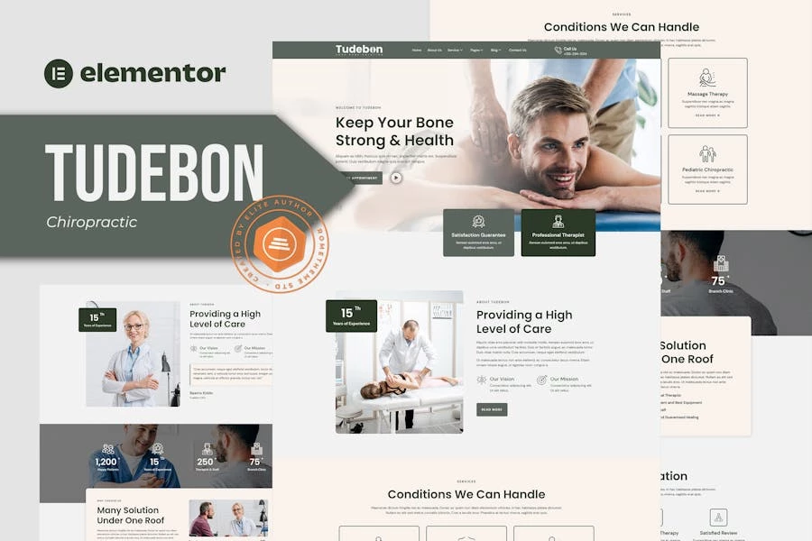 Tudebon - Template Kit de elementos de quiropráctica y fisioterapia