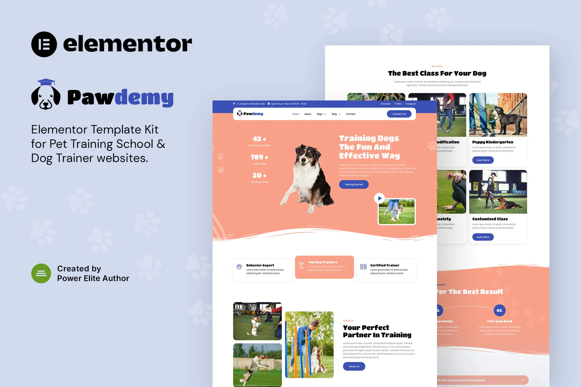 Pawdemy — Template Kit Elementor de la Academia de Entrenamiento de Mascotas