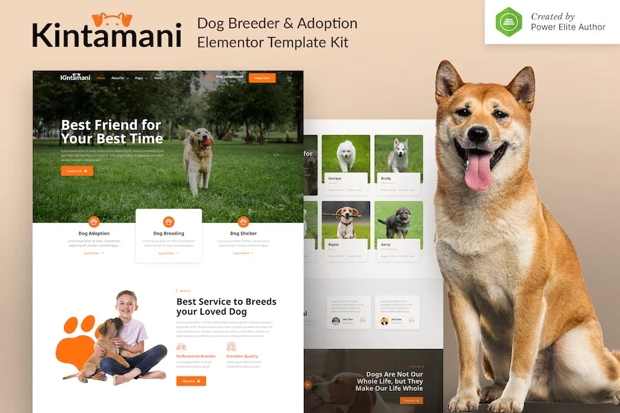 Kintamani - Kit de plantilla para criador de perros y elementores de adopción