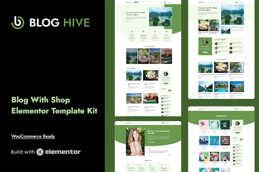 Blog Hive – Template Kit Elementor para blog personal