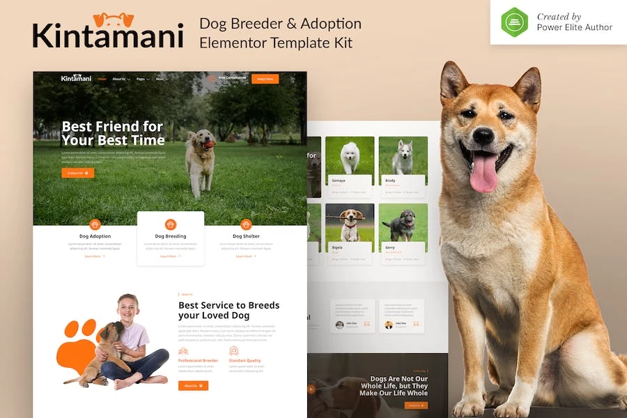 Kintamani – Kit de plantilla para criador de perros y elementores de adopción
