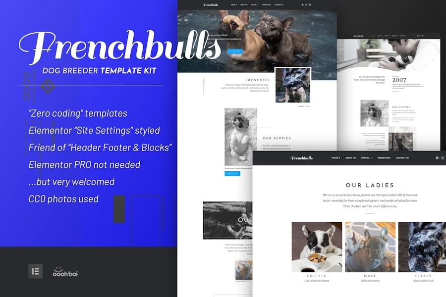 Frenchbulls – Template Kit de Elementor para criadores