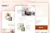 ScaleUp – Template Kit de Elementor de coaching empresarial