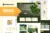 Bronos – Kit de plantillas Elementor para marihuana medicinal