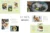 Flaten – Template Kit Elementor de servicios de restauración y catering